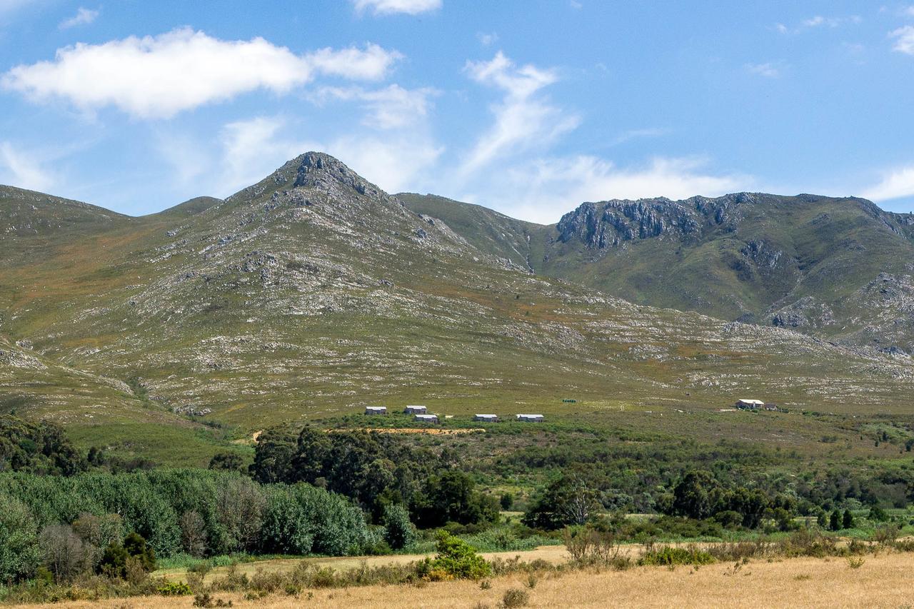 Phillipskop Mountain Reserve Stanford Eksteriør bilde