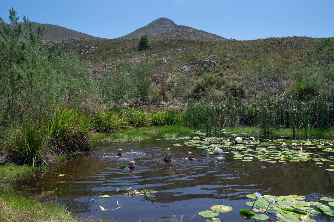 Phillipskop Mountain Reserve Stanford Eksteriør bilde