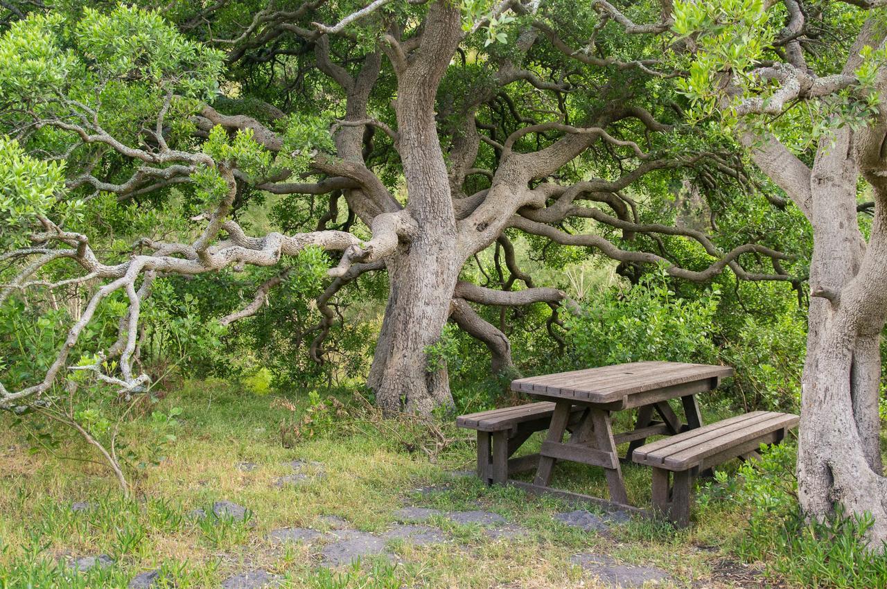 Phillipskop Mountain Reserve Stanford Eksteriør bilde